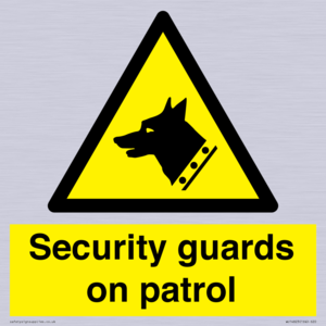Security guards on patrol